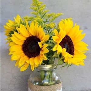 Meet your Posher, Johanie